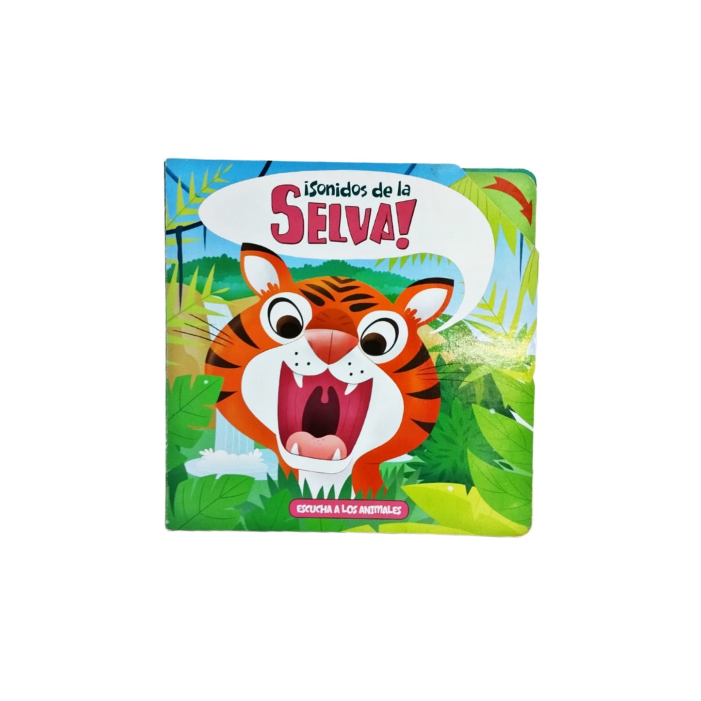 LIBRO SONIDOS DE...
